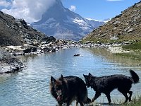 Shani und Gitan